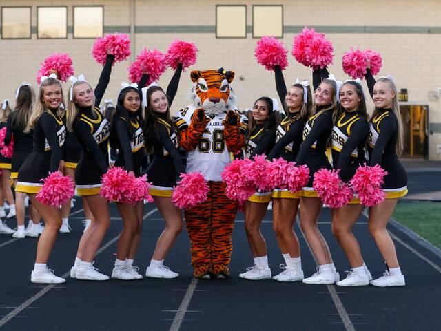 8931735_web1_naj-NAhomecheerTiger-101625