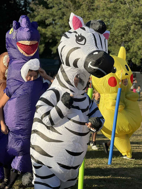 8934090_web1_naj-InflateZebra-101625 8934090_web1_naj-InflateZebra-101625