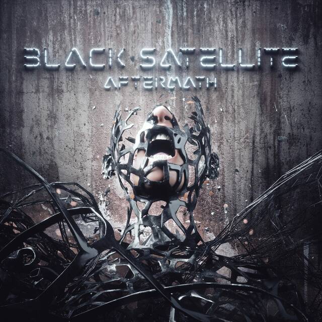 8935437_web1_ptr-BlackSatelliteAlbum-100925