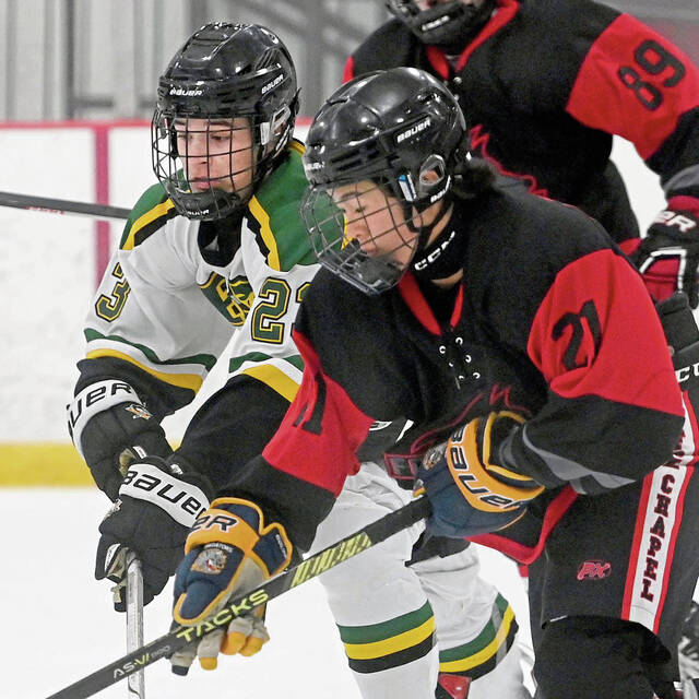 Fox Chapel Herald notebook: Hockey team swimming in new Class 3A waters