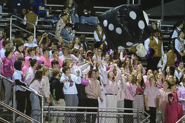 8944225_web1_vnd-PinkNightGame-101125