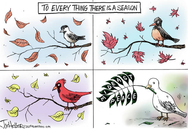 8945891_web1_gtr-thurstoon-101625