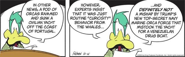 8945897_web1_gtr-malfil-101525