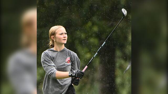 Strong WPIAL showing sends Sewickley Academy freshman golfer to states