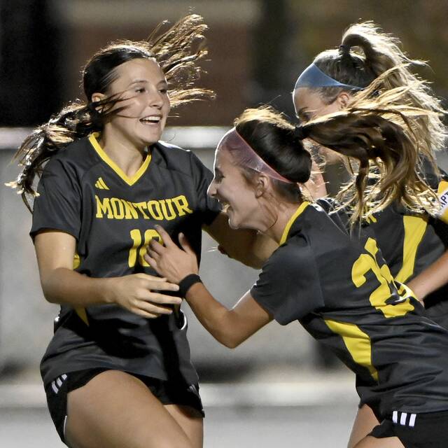 Playoff field set with 61 teams in WPIAL girls soccer
