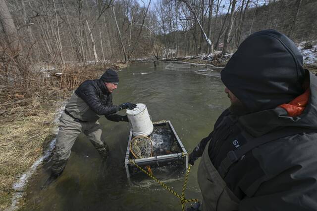 8950618_web1_VND-LO-TroutStocking3-022025