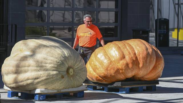 8951110_web1_PTR-MonsterPumpkins1-100622