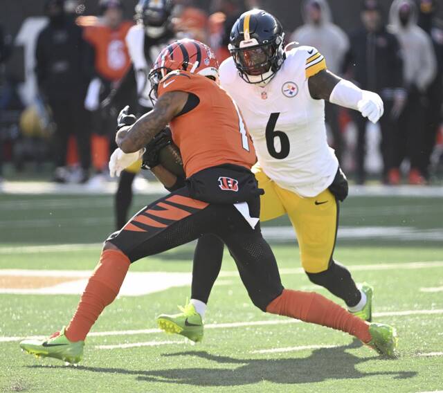 8952345_web1_ptr-SteelersBengals28-120224