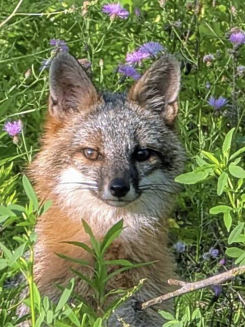 8954492_web1_her-neighborspotlight-102325-7 8954492_web1_her-neighborspotlight-102325-7