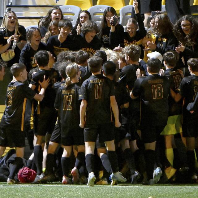 3 teams chasing elusive 3-peat as WPIAL announces boys, girls soccer playoff pairings