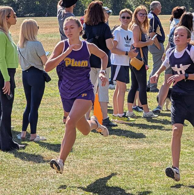 Riverview, Plum cross country teams set for WPIAL championship meet