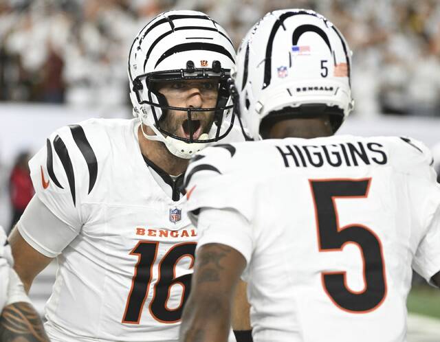 8958630_web1_ptr-SteelersBengals03-101725