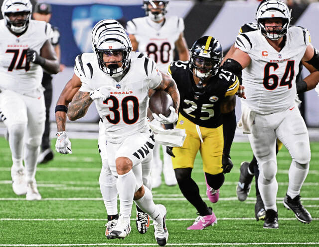 8958630_web1_ptr-SteelersBengals08-101725