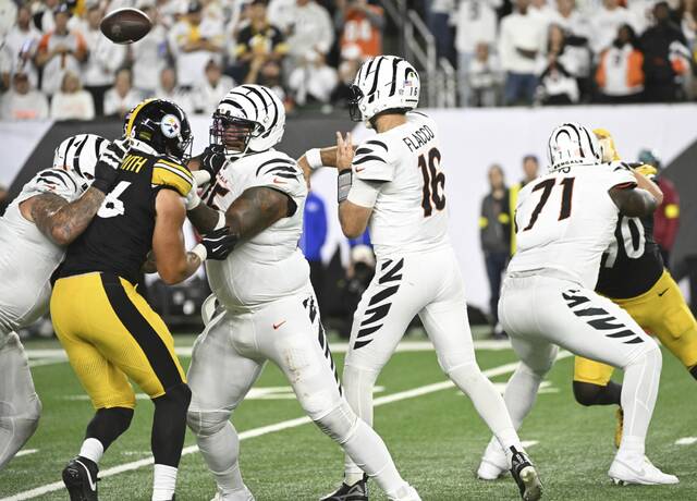 8958630_web1_ptr-SteelersBengals21-101725