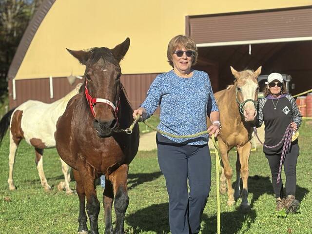 8959026_web1_ms-briefs-102325