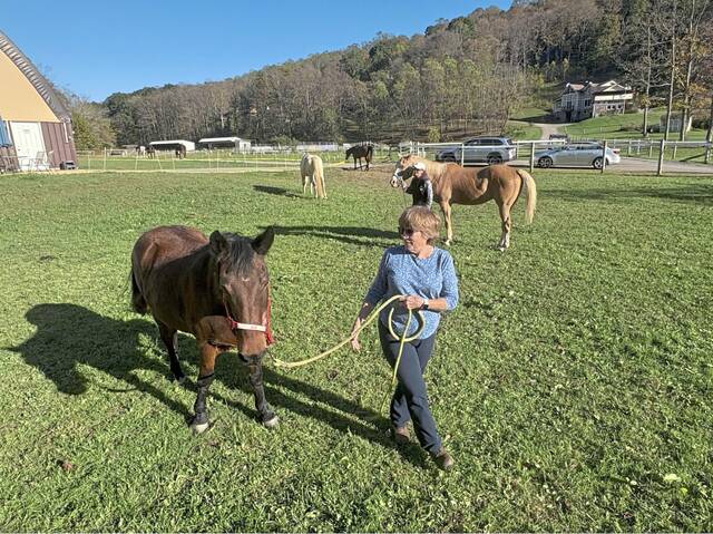 8959026_web1_ms-briefs2-102325