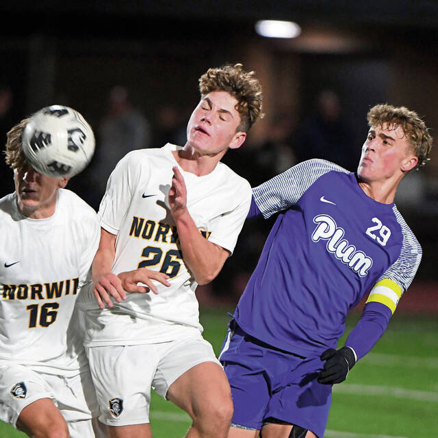 Westmoreland County soccer playoff preview capsules for Oct. 21, 2025