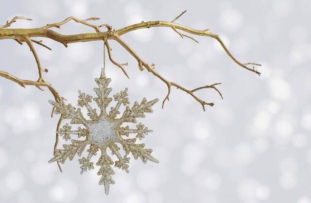 8962106_web1_Snowflake-branch-WEB