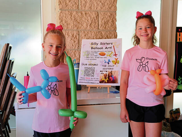 8968911_web1_7-SillySisters