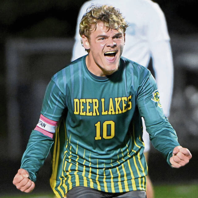 Deer Lakes boys embrace pressure, roll past Central Valley in WPIAL 1st round