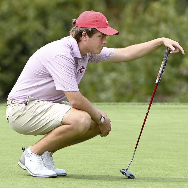 WPIAL golfers in the running for PIAA titles after 1st round