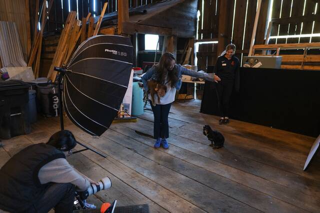 8972096_web1_sew-DogsofSewickley2-100825