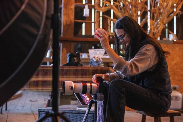 8972096_web1_sew-DogsofSewickley5-100825