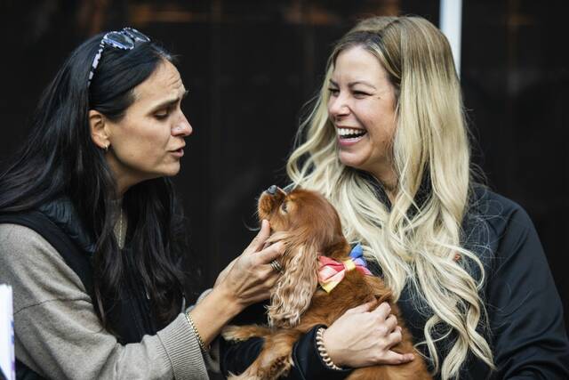 8972096_web1_sew-DogsofSewickley7-100825