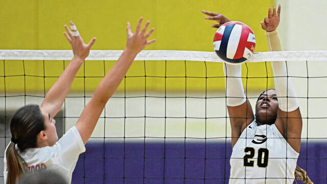 Young Gateway volleyball team builds for future