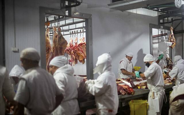 8979899_web1_2025-10-23T133051Z_1_LYNXMPEL9M0Q3_RTROPTP_4_ARGENTINA-ECONOMY-BEEF