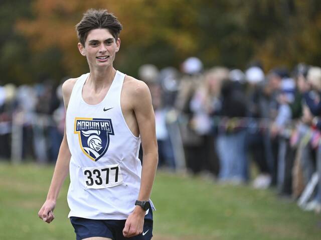 Norwin girls, Hempfield boys win WPIAL 3A cross country titles