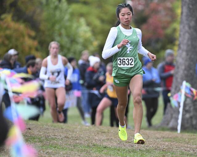 Sophomores from South Fayette, Norwin burst onto scene with WPIAL 3A cross country titles