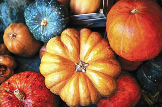 8984125_web1_Colored-pumpkins 8984125_web1_Colored-pumpkins