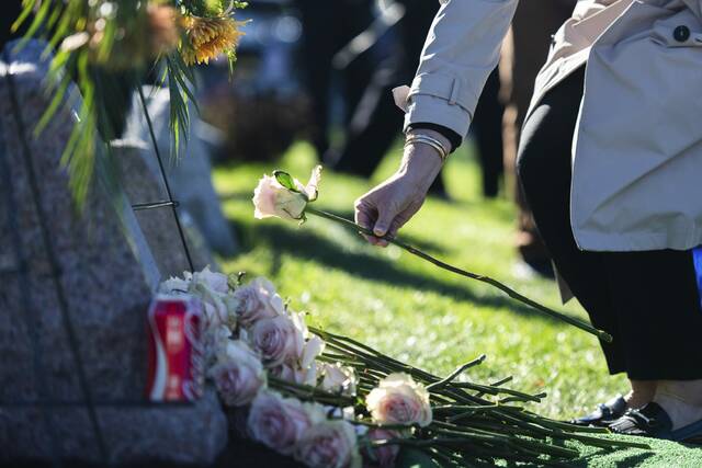 8995256_web1_PTR-bella11-102925