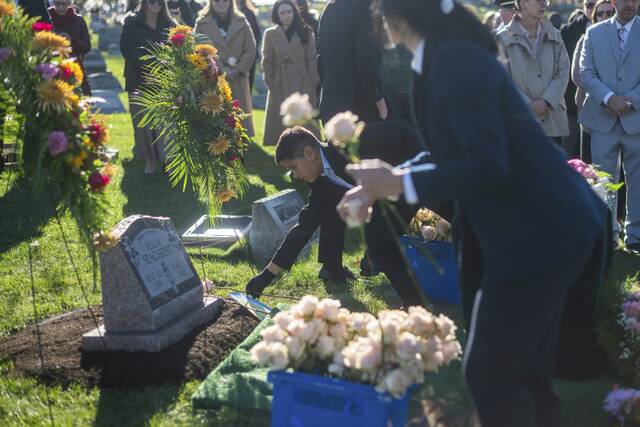 8995256_web1_PTR-bella7-102925