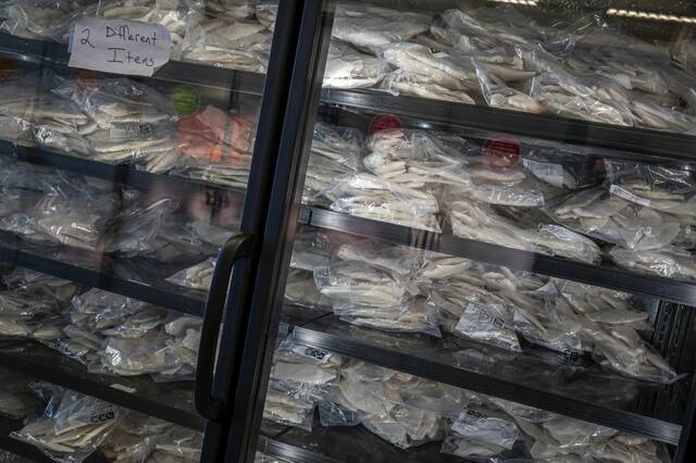 8995482_web1_PTR-SNAPconference11