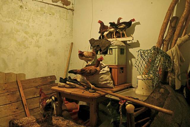 8997742_web1_2025-10-29T080857Z_3_LYNXMPEL9S0D7_RTROPTP_4_STORM-MELISSA-CUBA