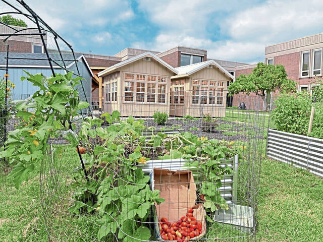 8997819_web1_vnd-highlandsgreenhouse-082325 8997819_web1_vnd-highlandsgreenhouse-082325