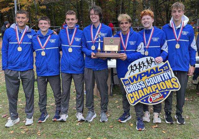 Hempfield boys, Norwin girls set sights on PIAA cross country gold