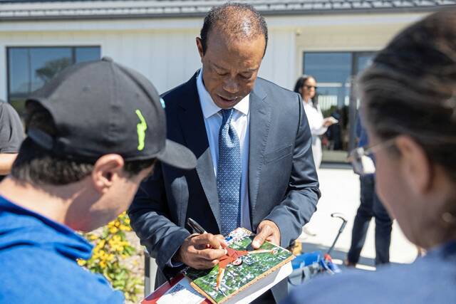 9000802_web1_gtr-Tiger-103025