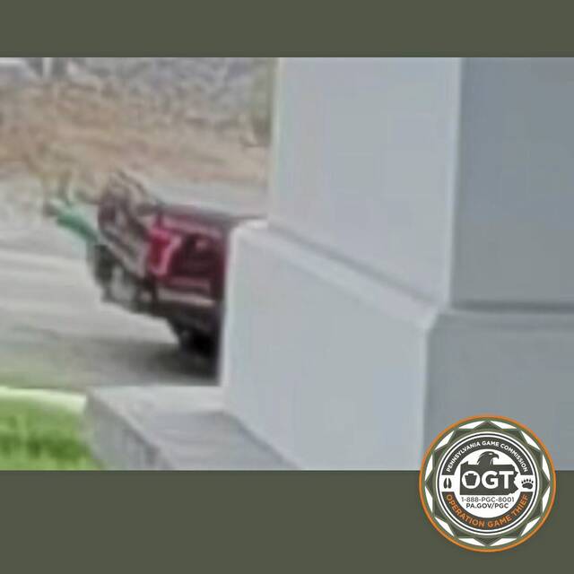 9005627_web1_gtr-NHdeer2 9005627_web1_gtr-NHdeer2