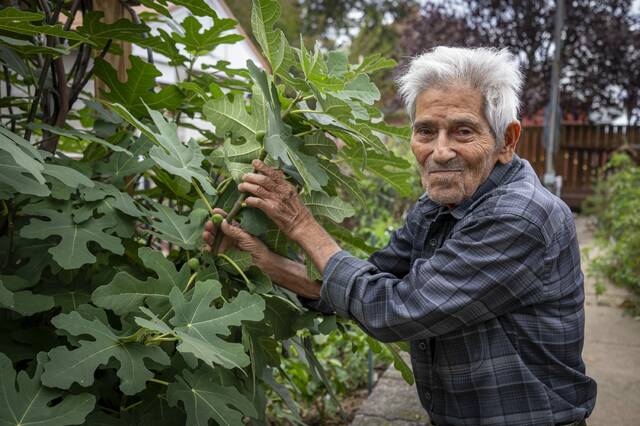 8985152_web1_vnd-facesvibo14-102825