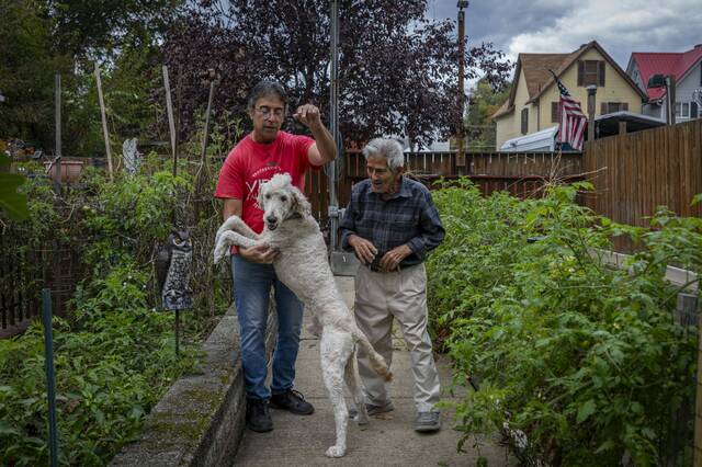 8985152_web1_vnd-facesvibo15-102825