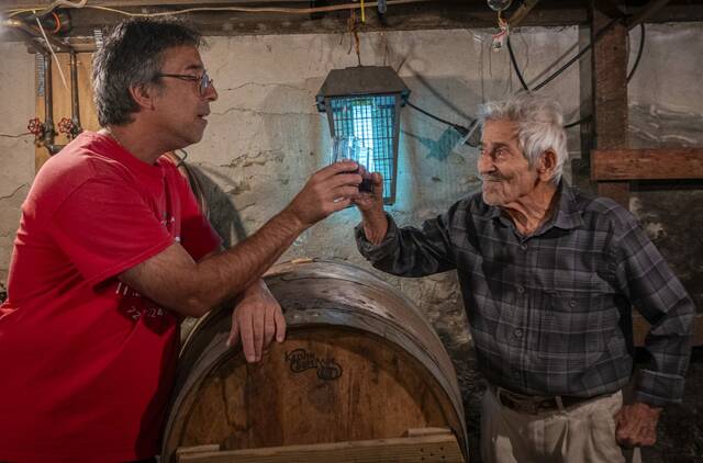 8985152_web1_vnd-facesvibo7-102825