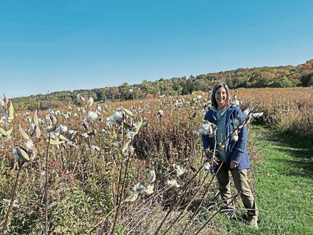 8992458_web1_sew-Janel-1