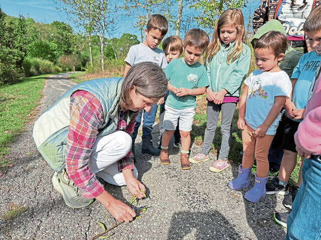 8992458_web1_sew-Janel-11