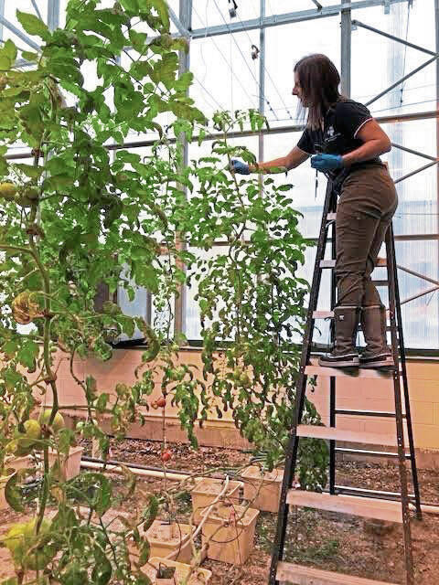 8992458_web1_sew-Janel-12