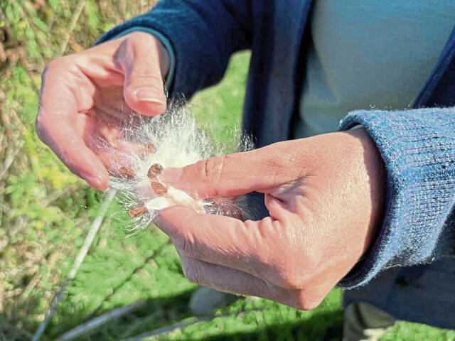 8992458_web1_sew-Janel-4