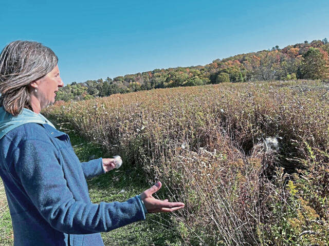 8992458_web1_sew-Janel-5