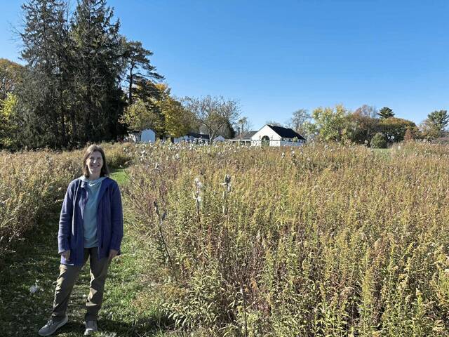 8992458_web1_sew-Janel-6